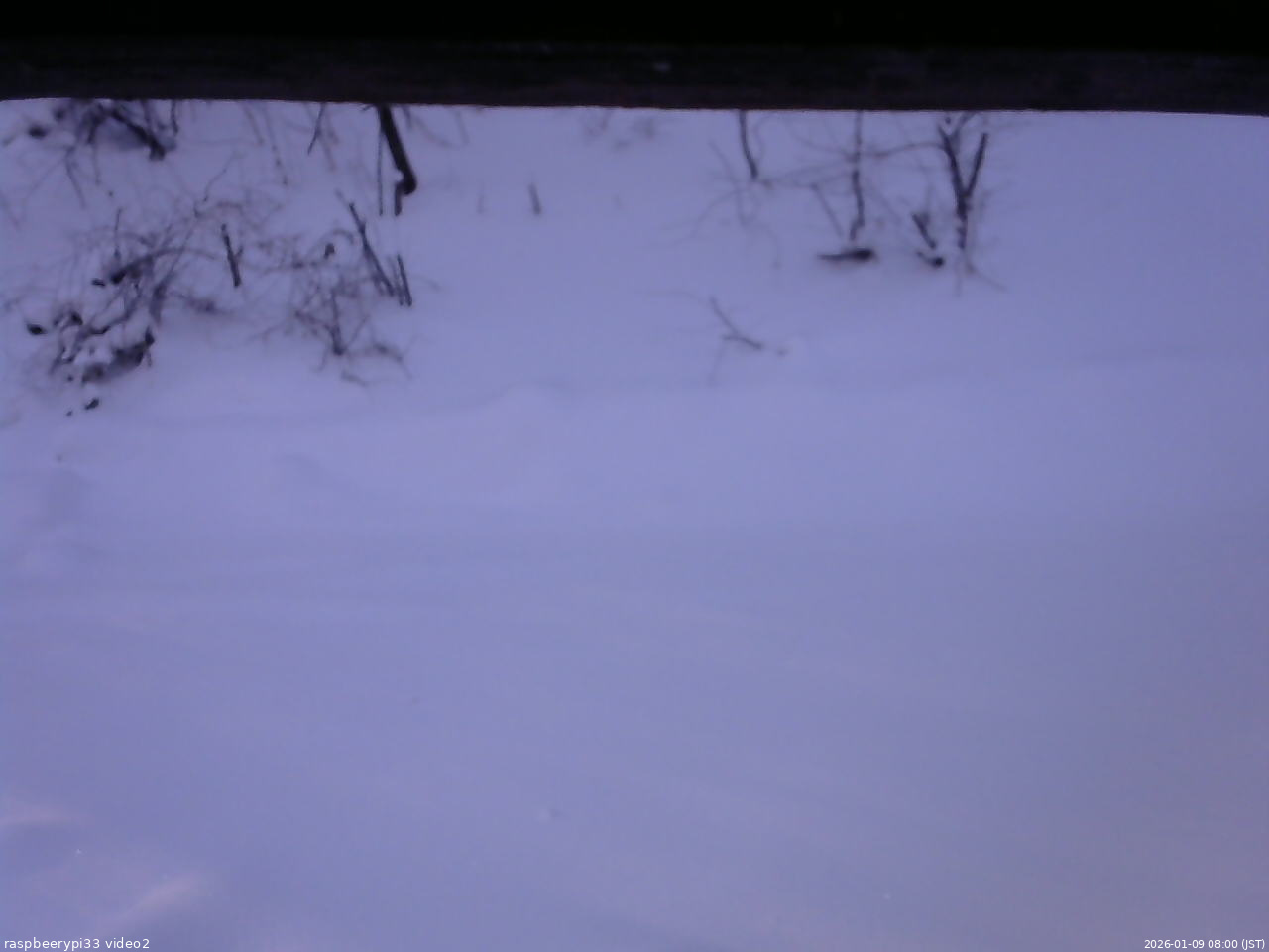 長野県菅平高原 ゆたか山荘 南側 2026/01/09 08:00