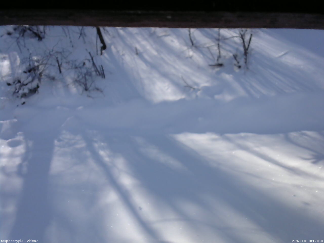 長野県菅平高原 ゆたか山荘 南側 2026/01/09 10:15