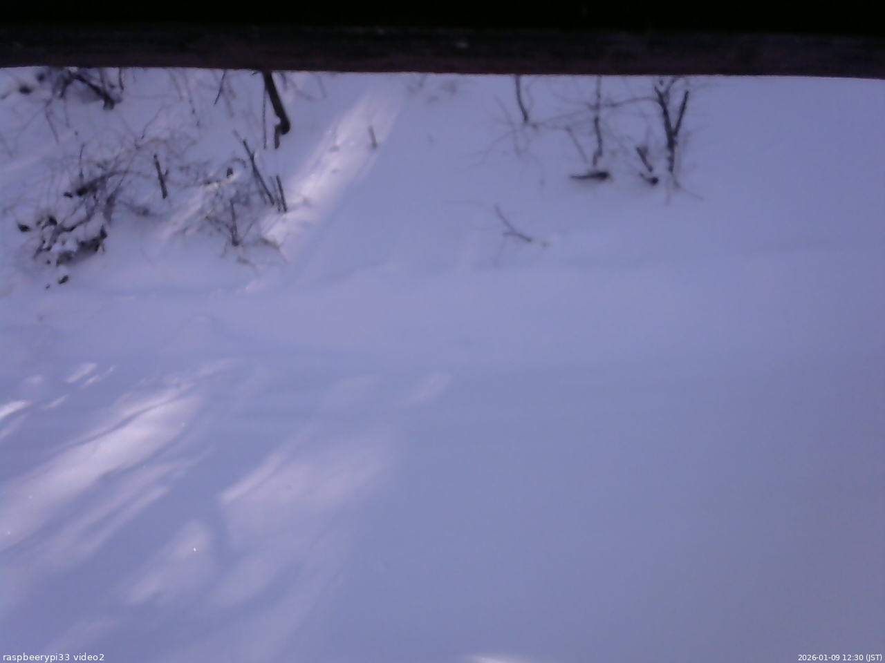 長野県菅平高原 ゆたか山荘 南側 2026/01/09 12:30