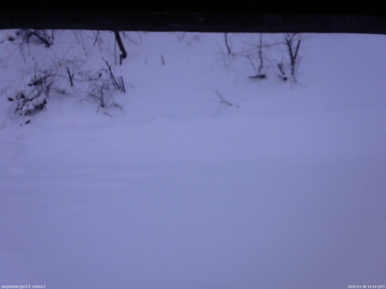 長野県菅平高原 ゆたか山荘 南側 2026/01/09 14:30