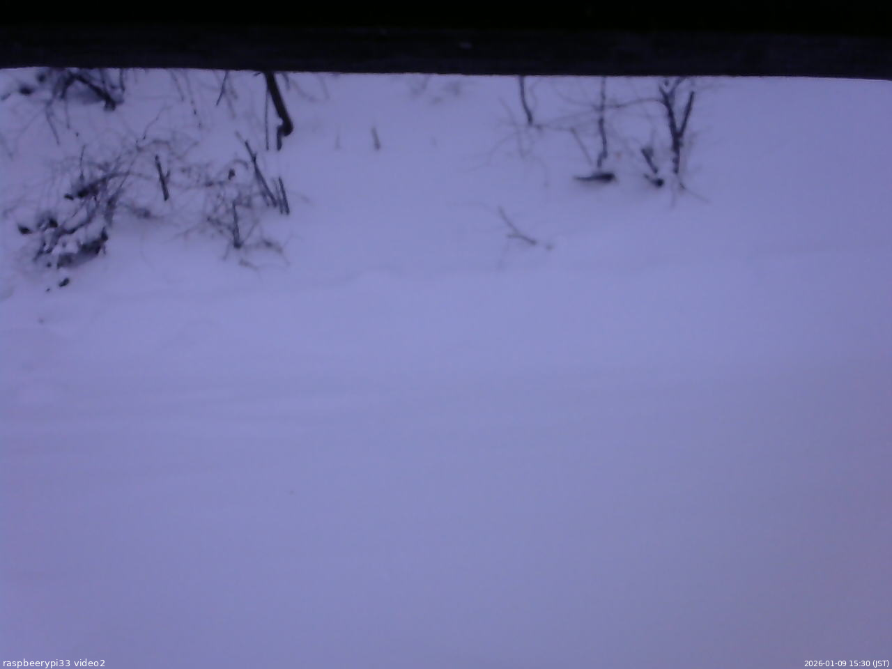 長野県菅平高原 ゆたか山荘 南側 2026/01/09 15:30