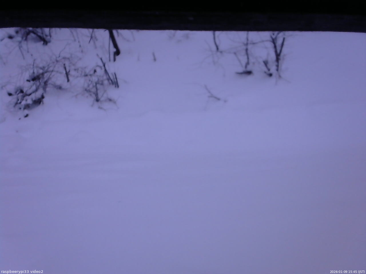 長野県菅平高原 ゆたか山荘 南側 2026/01/09 15:45