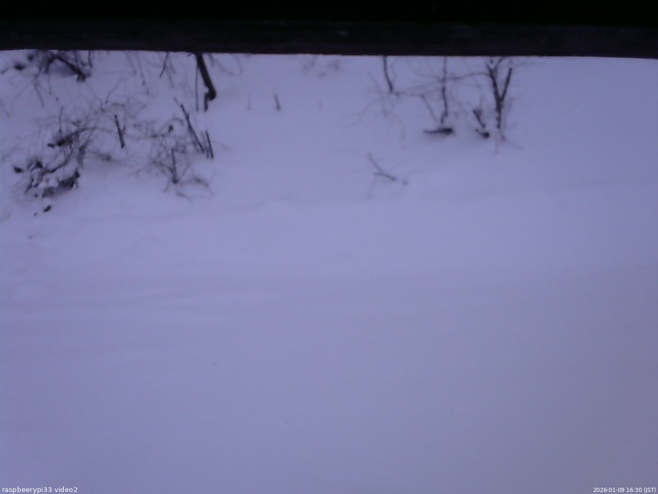 長野県菅平高原 ゆたか山荘 南側 2026/01/09 16:30