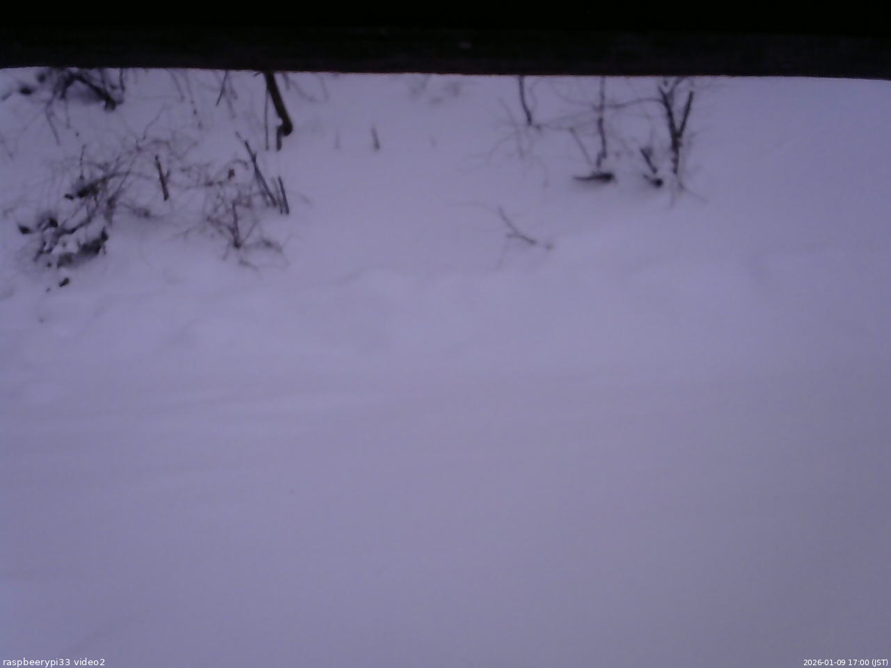 長野県菅平高原 ゆたか山荘 南側 2026/01/09 17:00