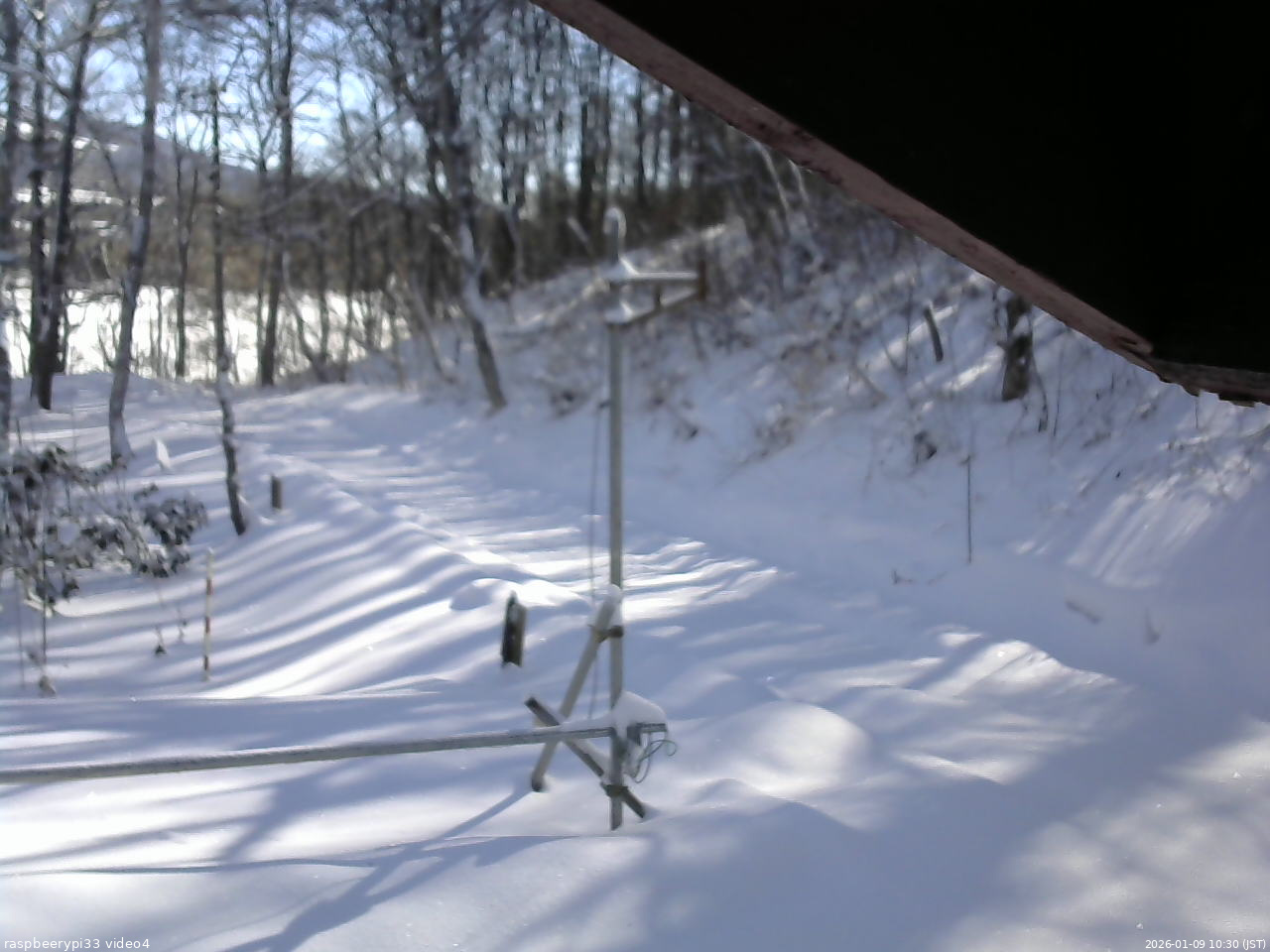 長野県菅平高原 ゆたか山荘 東側(坂下) 2026/01/09 10:30