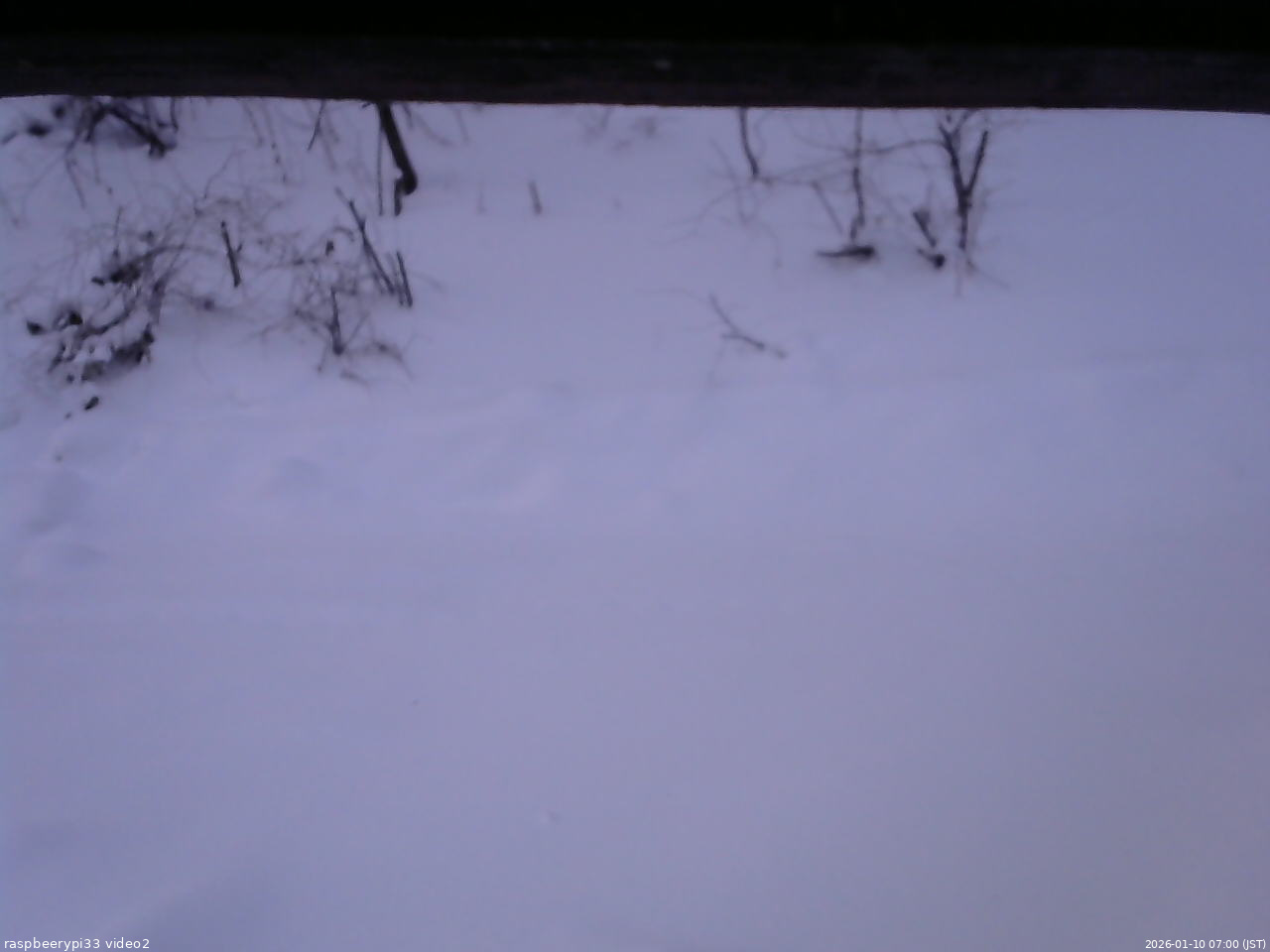 長野県菅平高原 ゆたか山荘 南側 2026/01/10 07:00