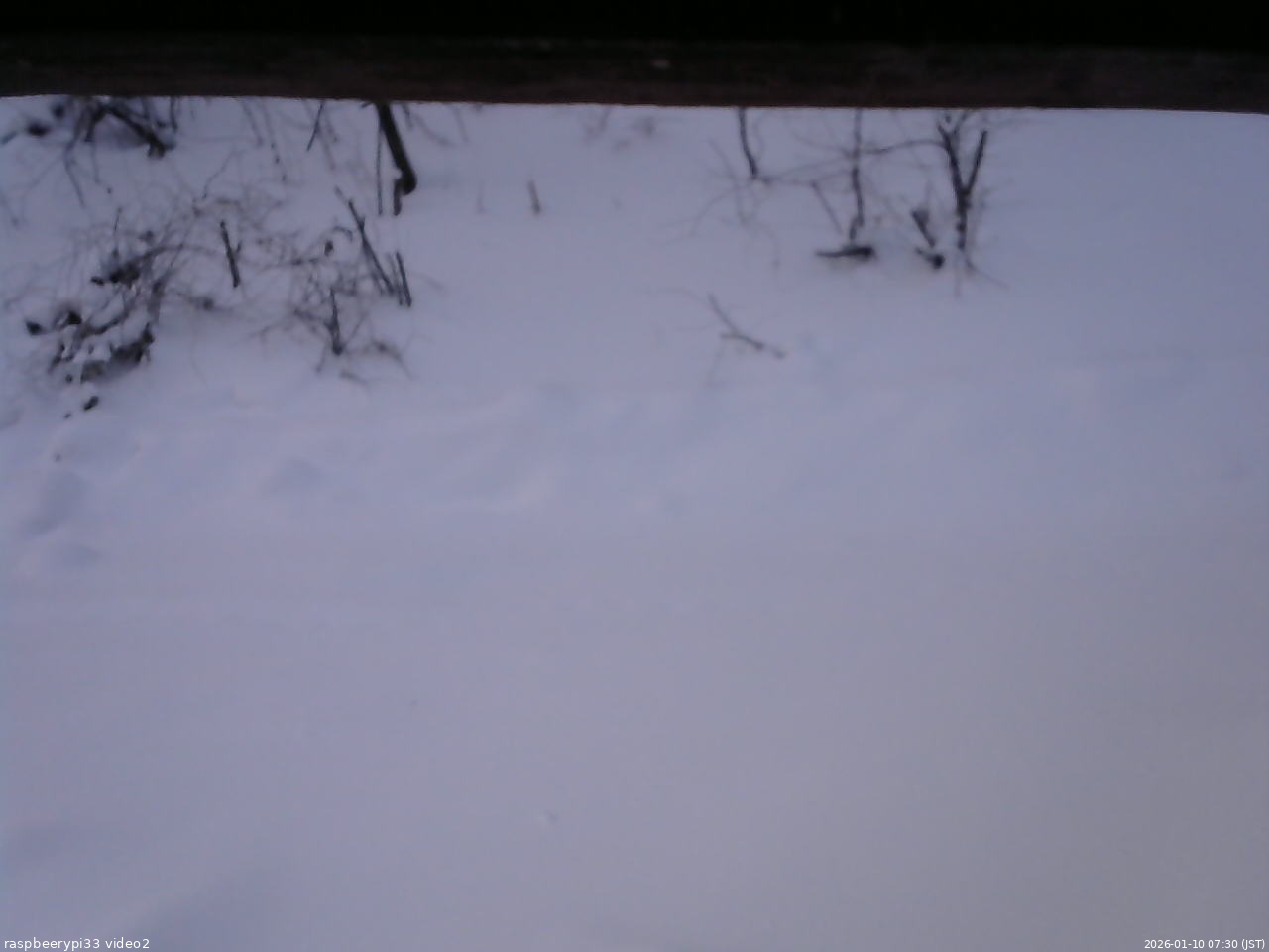 長野県菅平高原 ゆたか山荘 南側 2026/01/10 07:30