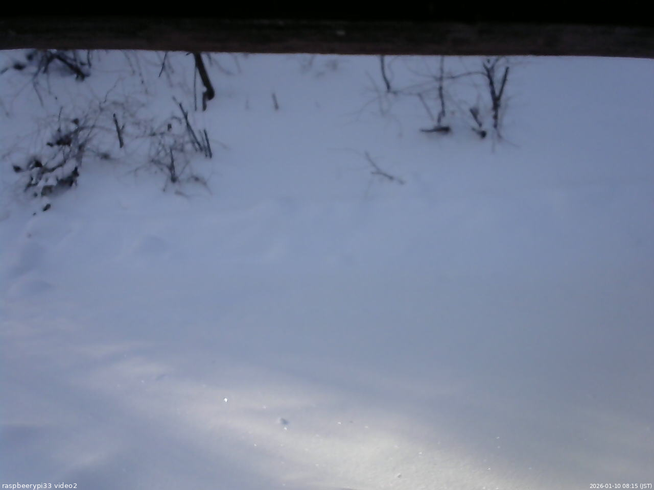 長野県菅平高原 ゆたか山荘 南側 2026/01/10 08:15