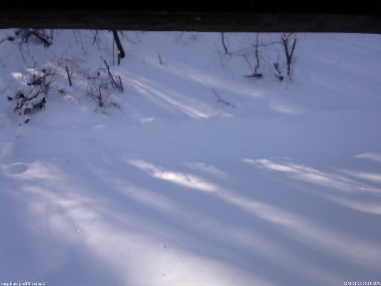 長野県菅平高原 ゆたか山荘 南側 2026/01/10 09:15