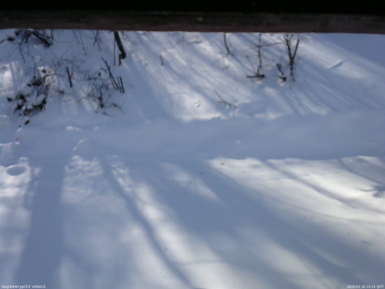長野県菅平高原 ゆたか山荘 南側 2026/01/10 10:15