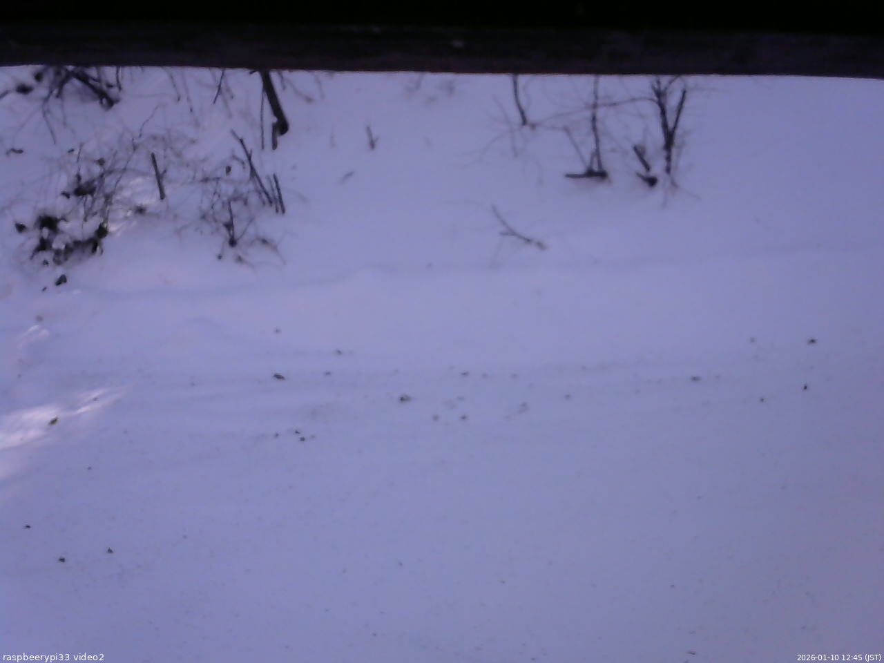 長野県菅平高原 ゆたか山荘 南側 2026/01/10 12:45