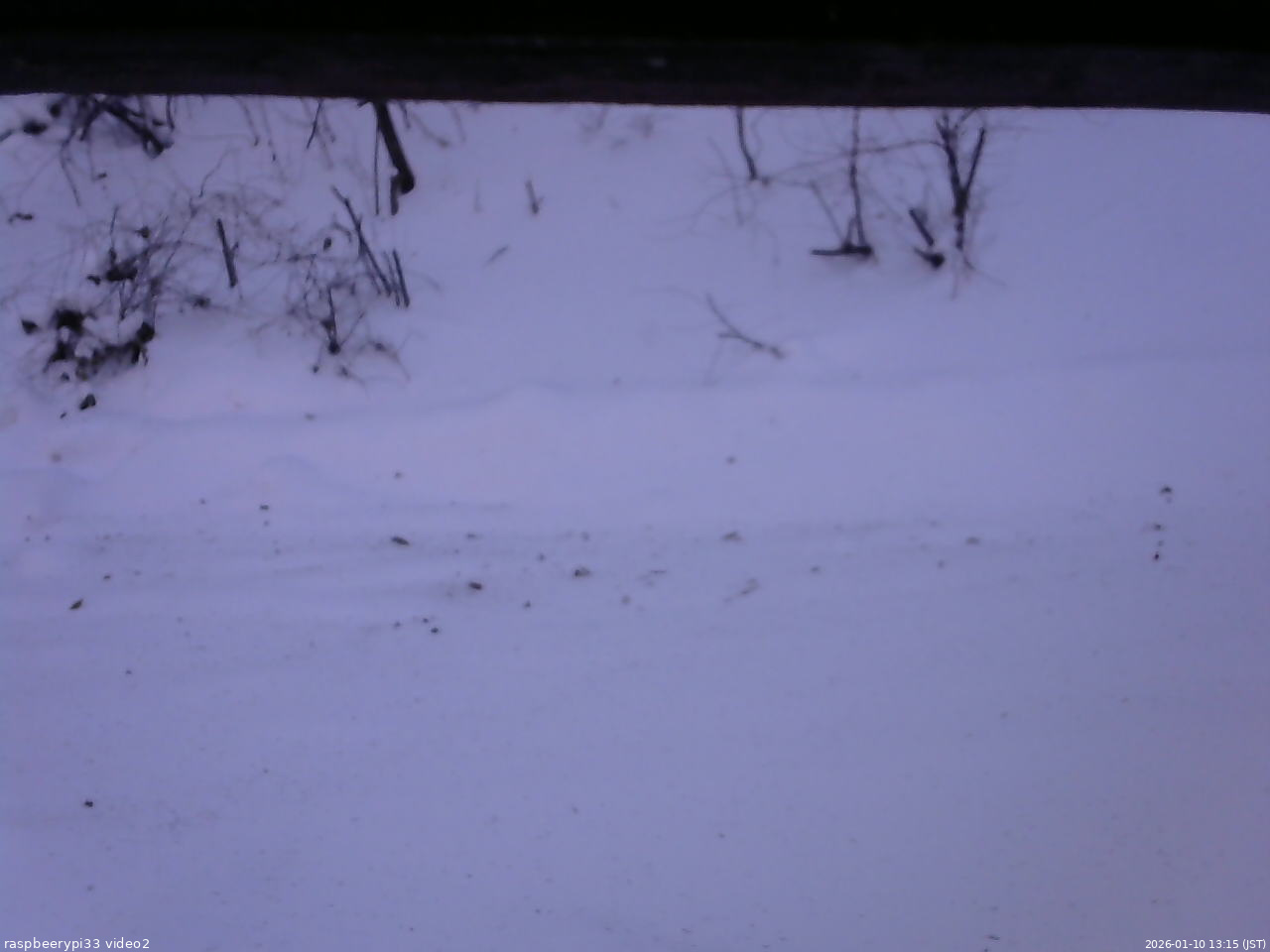 長野県菅平高原 ゆたか山荘 南側 2026/01/10 13:15