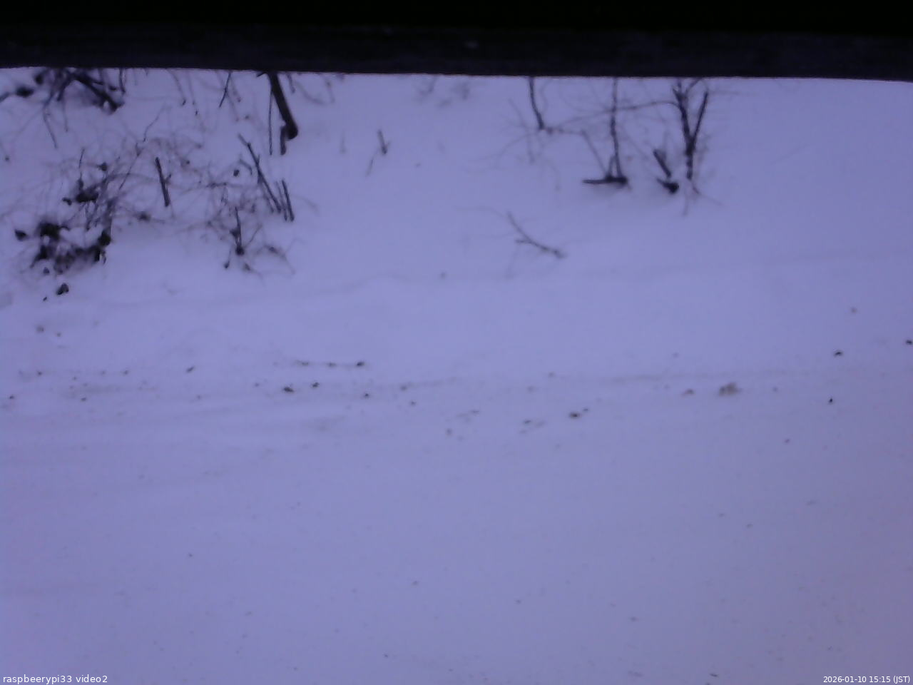 長野県菅平高原 ゆたか山荘 南側 2026/01/10 15:15