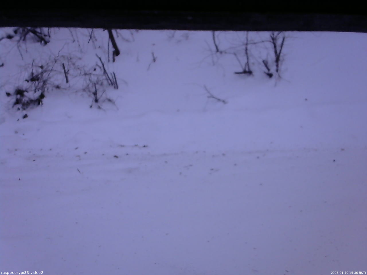 長野県菅平高原 ゆたか山荘 南側 2026/01/10 15:30
