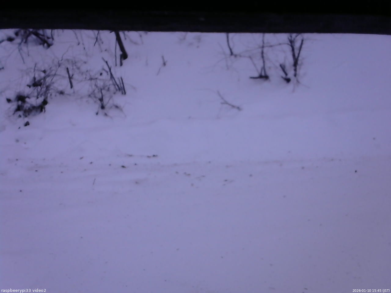 長野県菅平高原 ゆたか山荘 南側 2026/01/10 15:45
