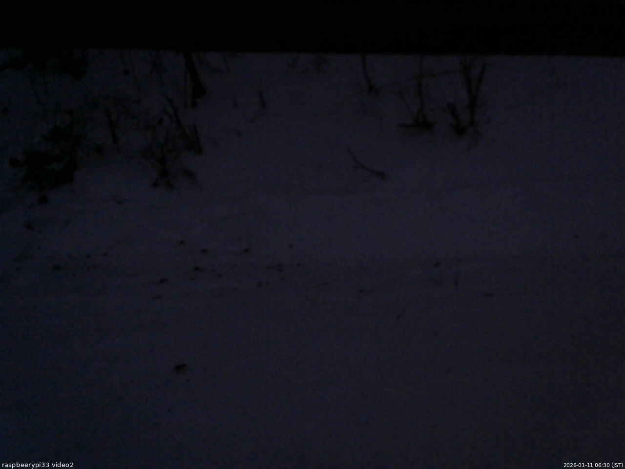 長野県菅平高原 ゆたか山荘 南側 2026/01/11 06:30