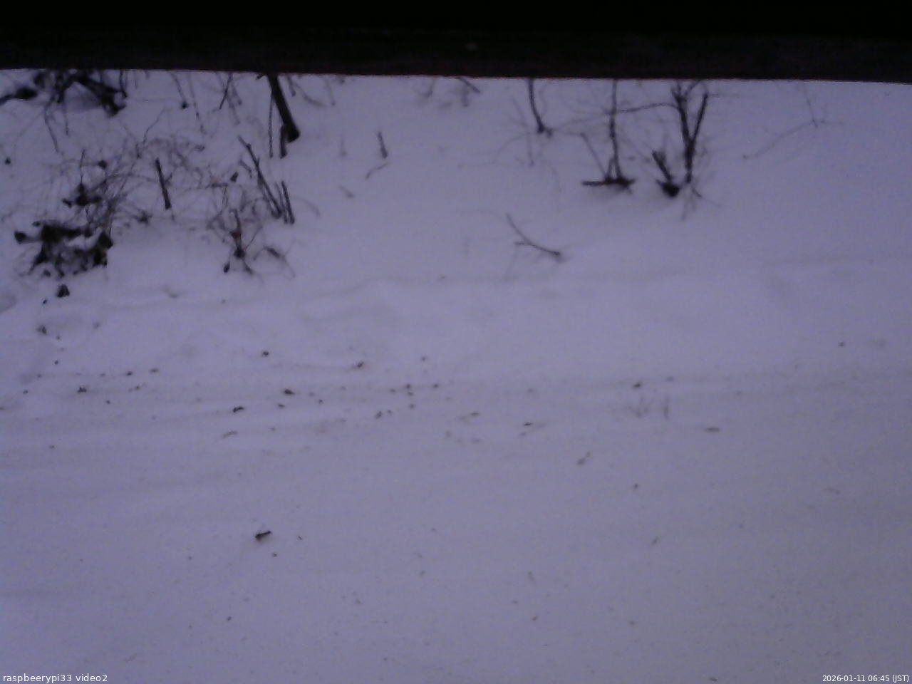 長野県菅平高原 ゆたか山荘 南側 2026/01/11 06:45