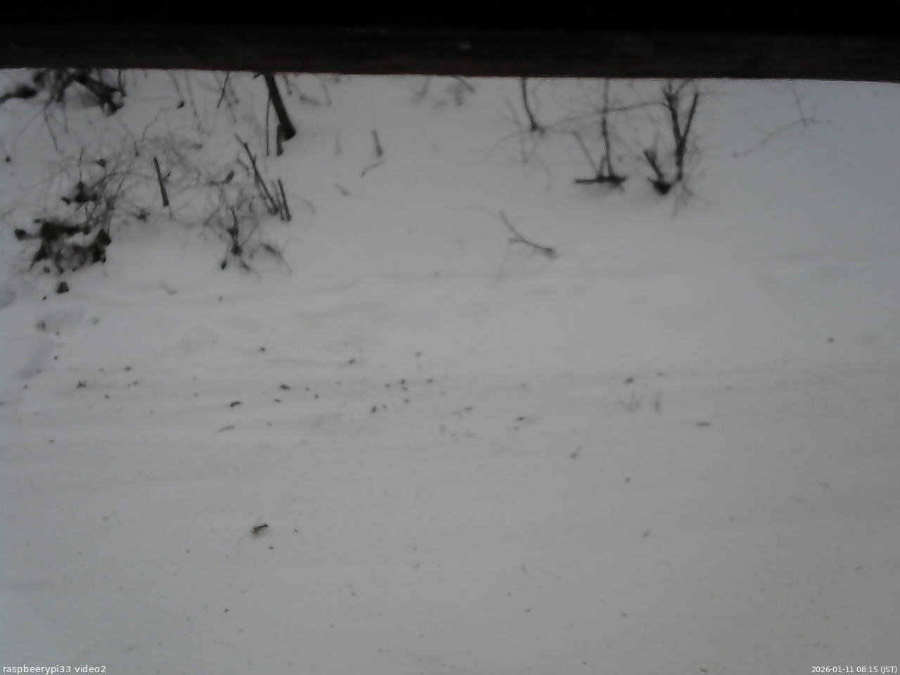 長野県菅平高原 ゆたか山荘 南側 2026/01/11 08:15
