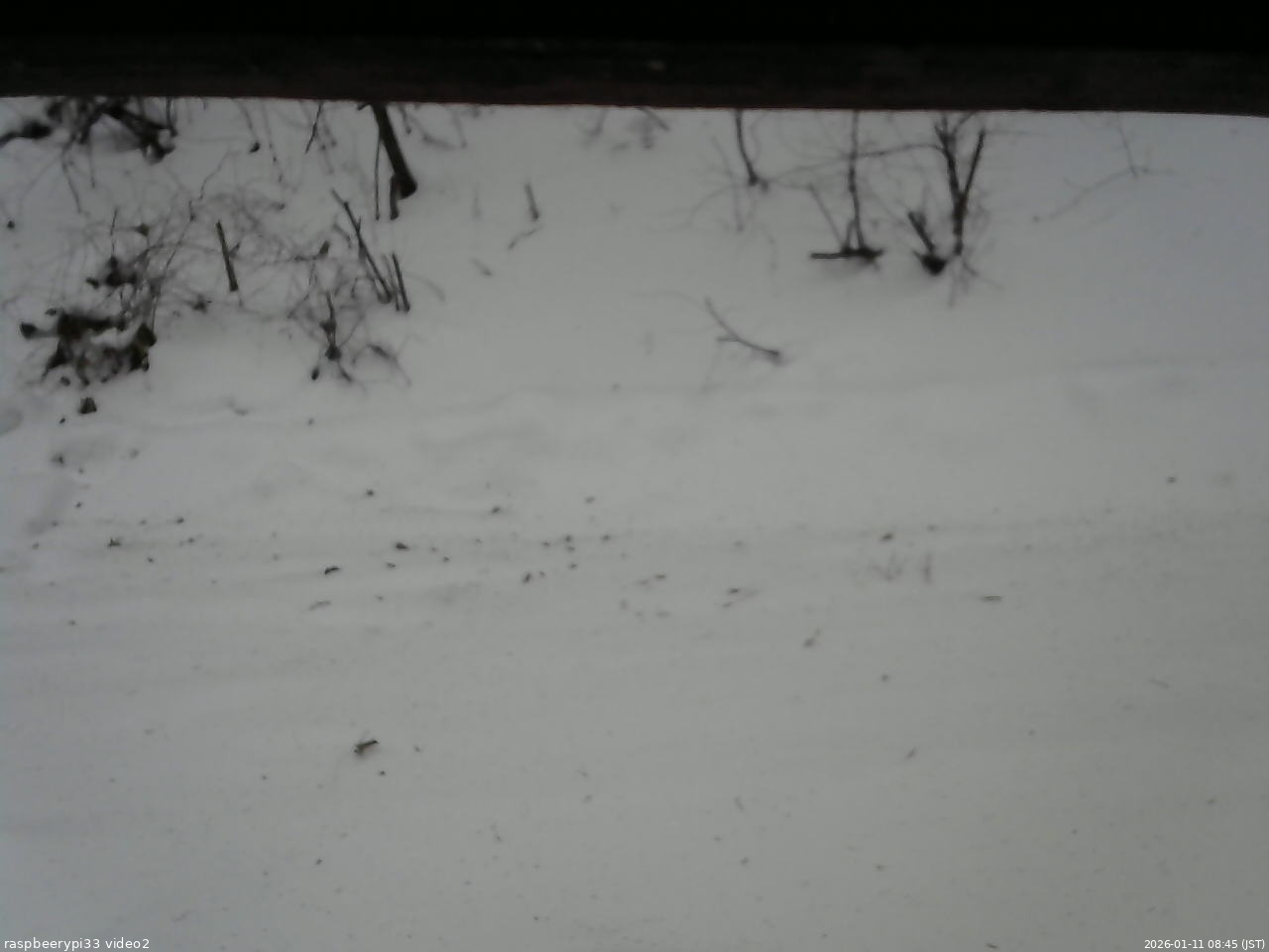 長野県菅平高原 ゆたか山荘 南側 2026/01/11 08:45