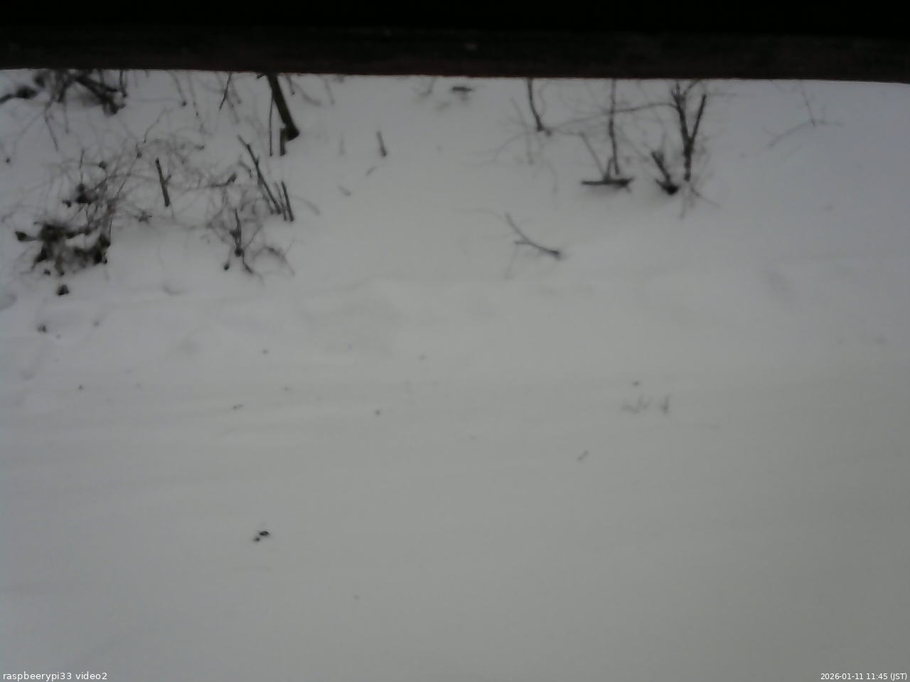 長野県菅平高原 ゆたか山荘 南側 2026/01/11 11:45