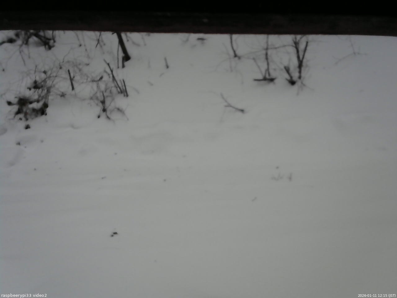 長野県菅平高原 ゆたか山荘 南側 2026/01/11 12:15