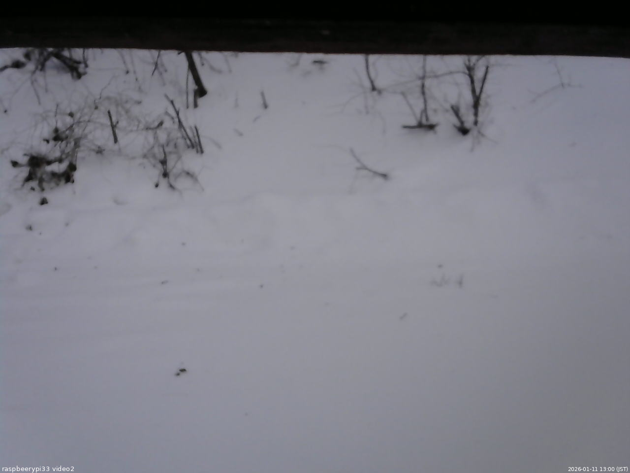 長野県菅平高原 ゆたか山荘 南側 2026/01/11 13:00