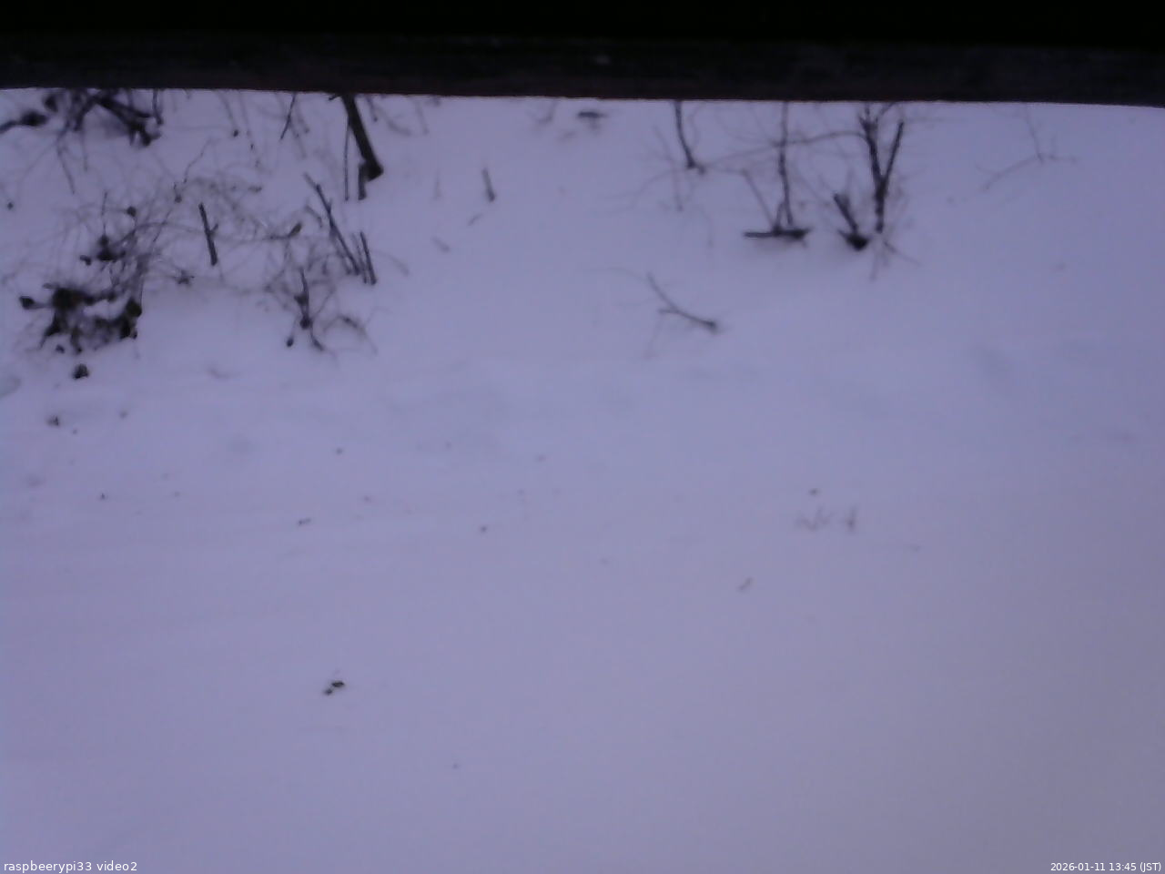 長野県菅平高原 ゆたか山荘 南側 2026/01/11 13:45