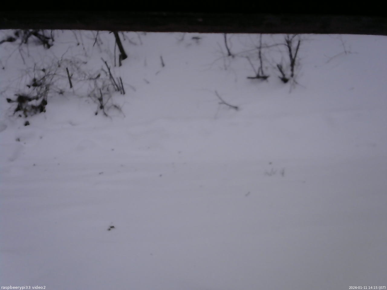 長野県菅平高原 ゆたか山荘 南側 2026/01/11 14:15