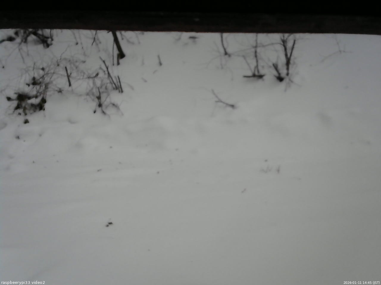 長野県菅平高原 ゆたか山荘 南側 2026/01/11 14:45