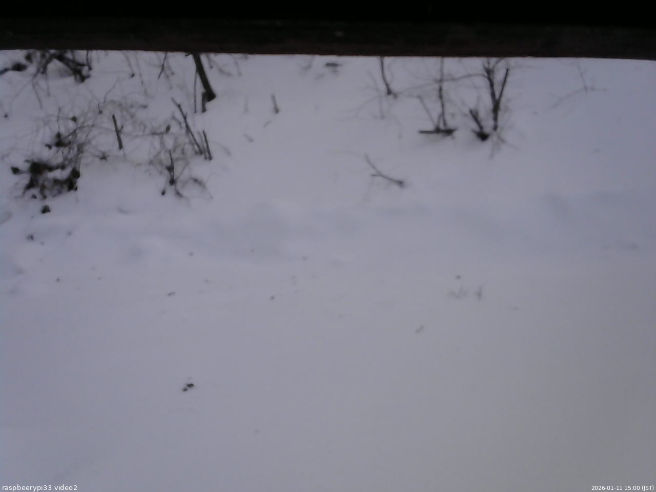 長野県菅平高原 ゆたか山荘 南側 2026/01/11 15:00