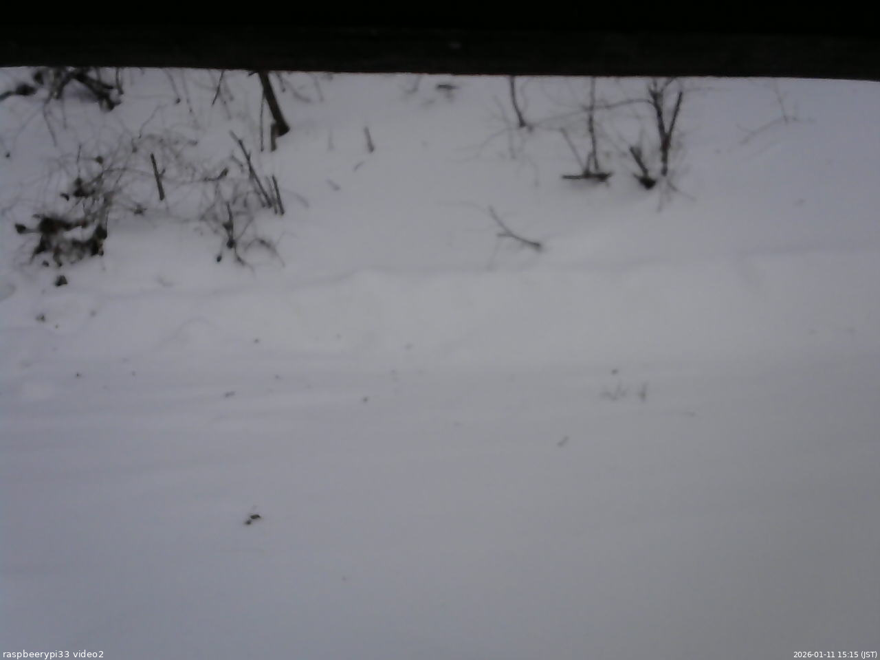 長野県菅平高原 ゆたか山荘 南側 2026/01/11 15:15