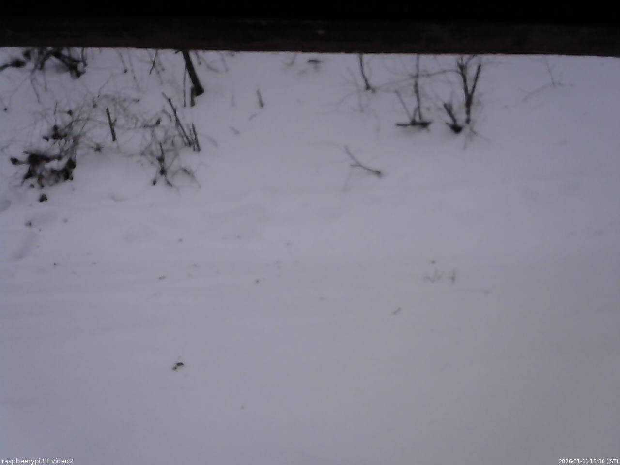 長野県菅平高原 ゆたか山荘 南側 2026/01/11 15:30