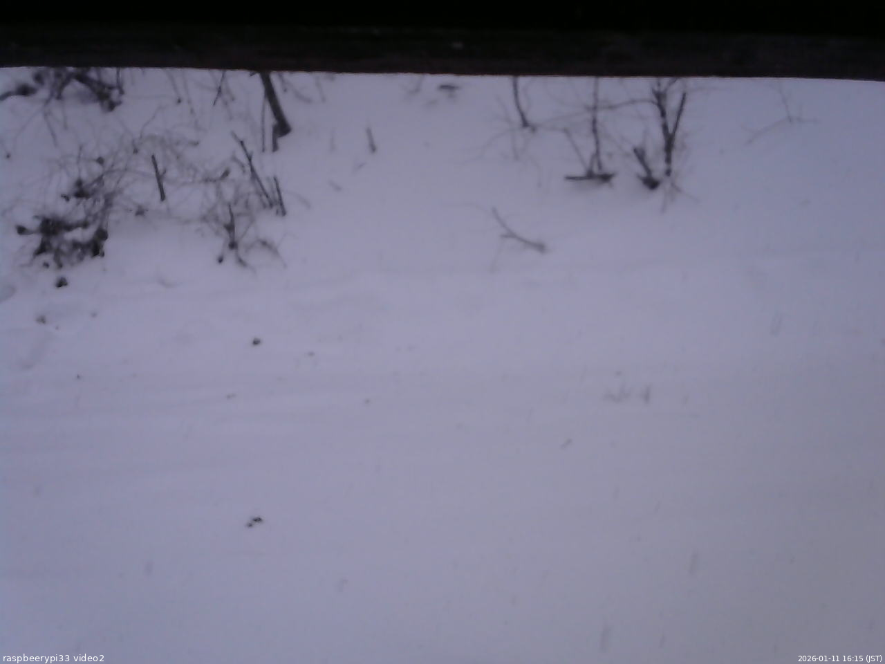 長野県菅平高原 ゆたか山荘 南側 2026/01/11 16:15