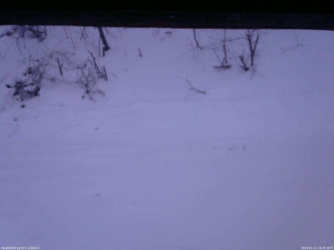 長野県菅平高原 ゆたか山荘 南側 2026/01/11 16:45