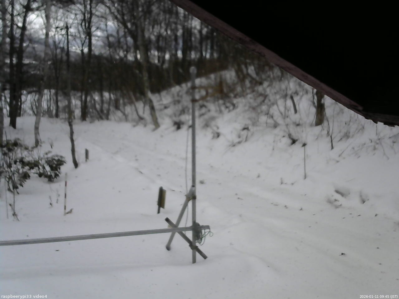 長野県菅平高原 ゆたか山荘 東側(坂下) 2026/01/11 09:45