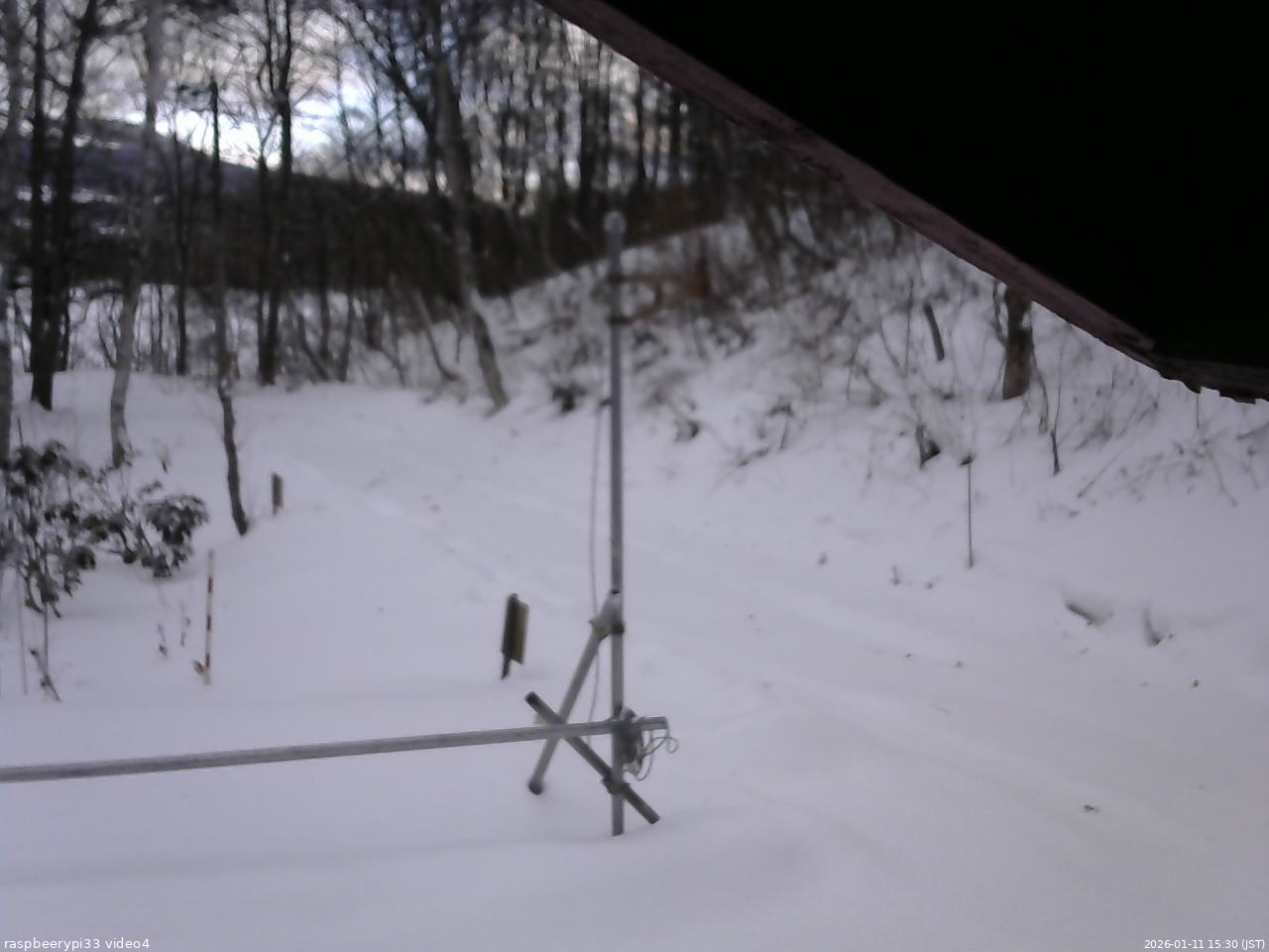 長野県菅平高原 ゆたか山荘 東側(坂下) 2026/01/11 15:30