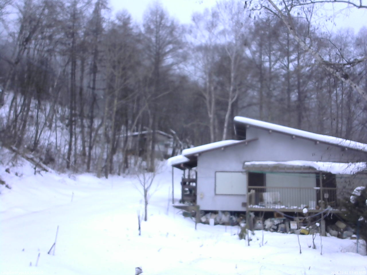 長野県菅平高原 ゆたか山荘 西側(坂上) 2026/01/11 07:45