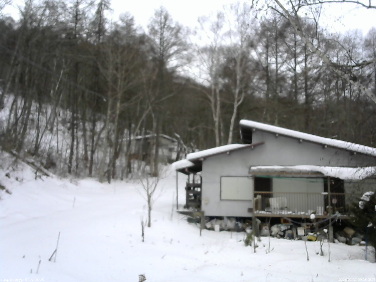 長野県菅平高原 ゆたか山荘 西側(坂上) 2026/01/11 09:15