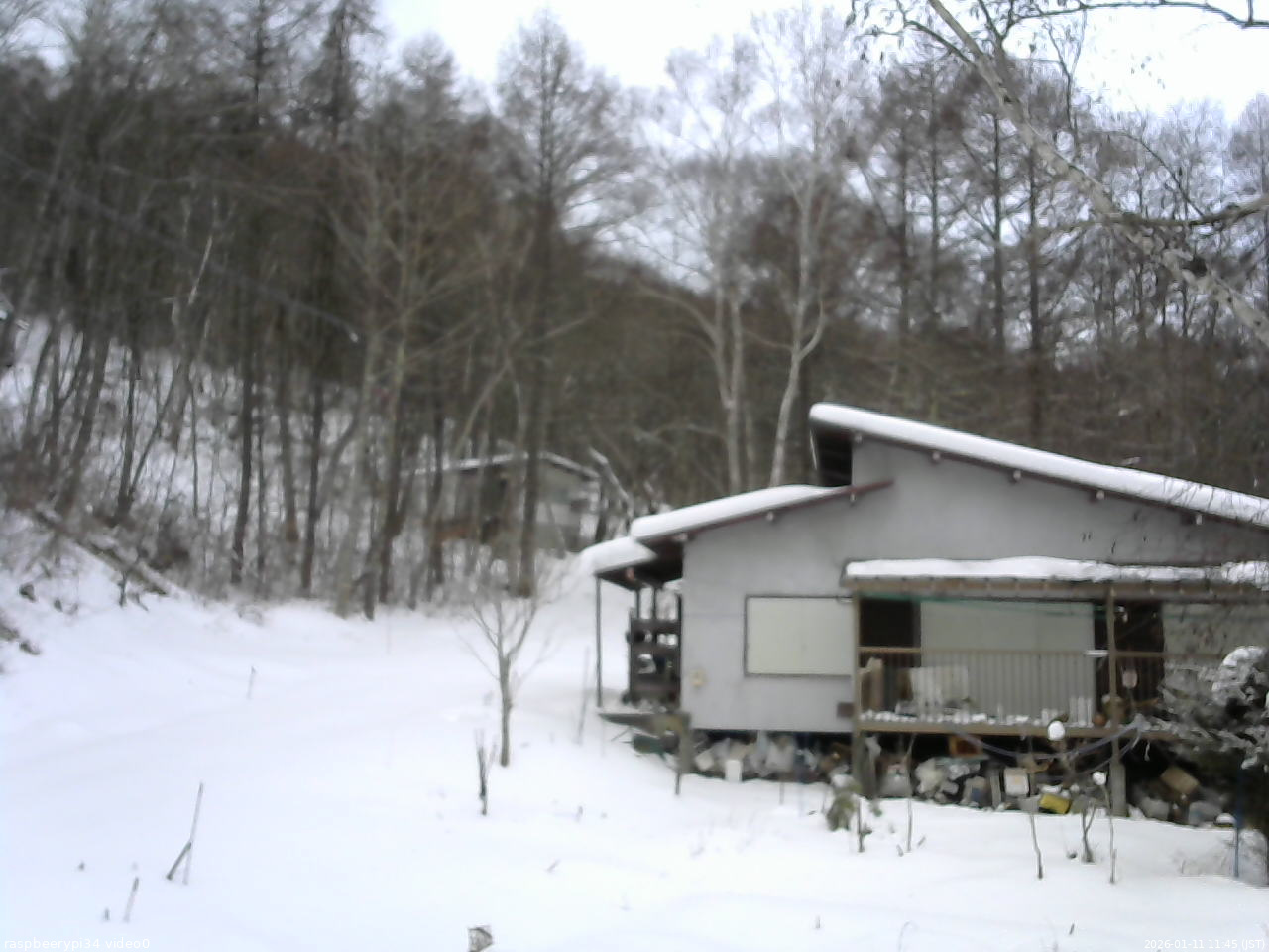 長野県菅平高原 ゆたか山荘 西側(坂上) 2026/01/11 11:45