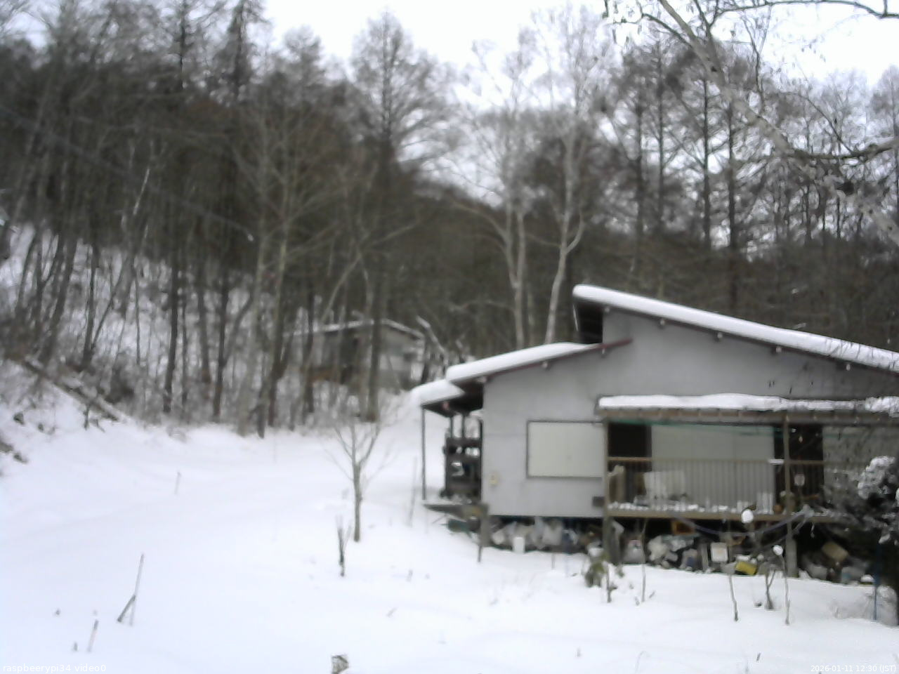 長野県菅平高原 ゆたか山荘 西側(坂上) 2026/01/11 12:30