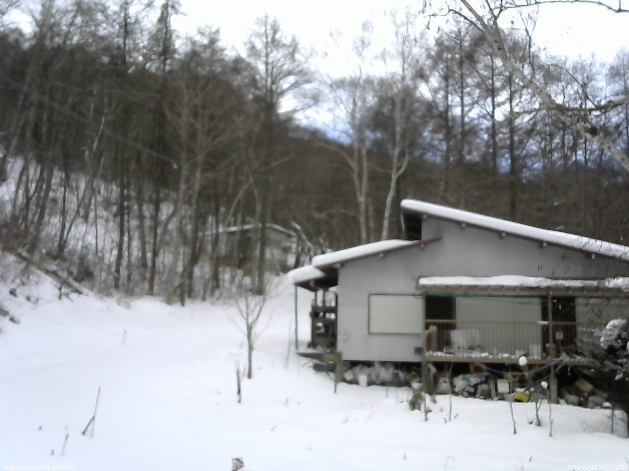 長野県菅平高原 ゆたか山荘 西側(坂上) 2026/01/11 12:45
