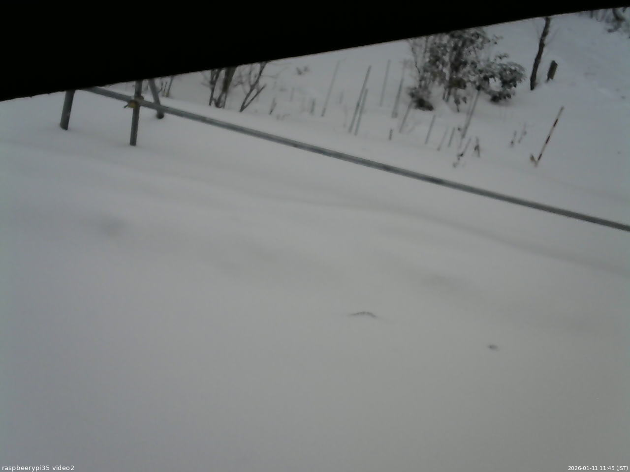 長野県菅平高原 ゆたか山荘 駐車場 2026/01/11 11:45
