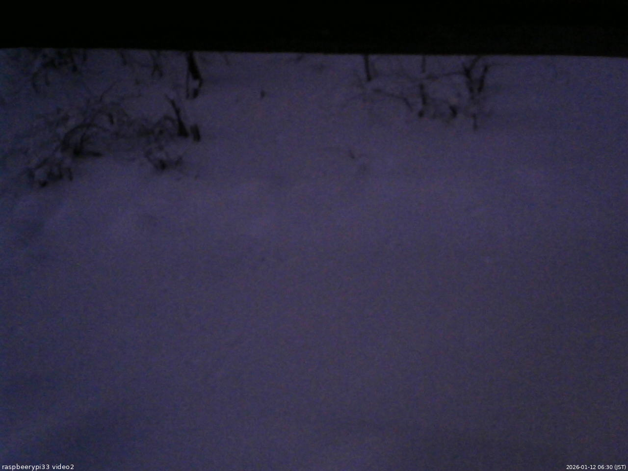 長野県菅平高原 ゆたか山荘 南側 2026/01/12 06:30