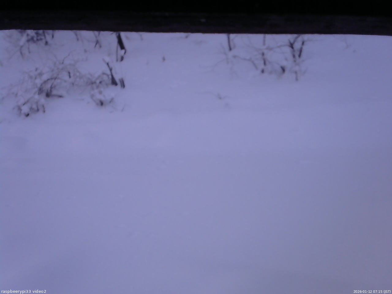 長野県菅平高原 ゆたか山荘 南側 2026/01/12 07:15