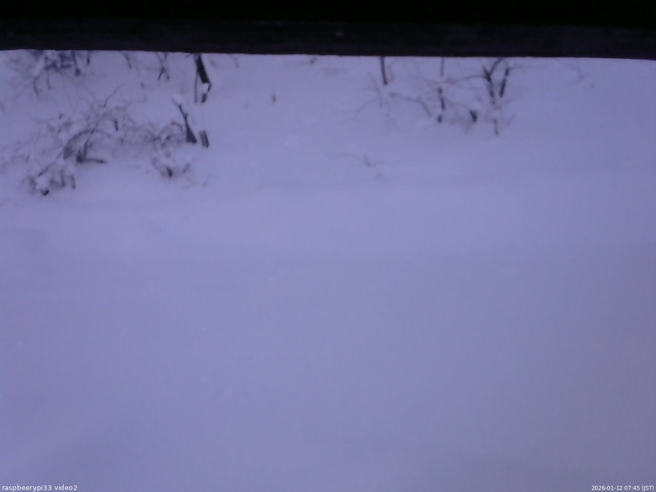 長野県菅平高原 ゆたか山荘 南側 2026/01/12 07:45