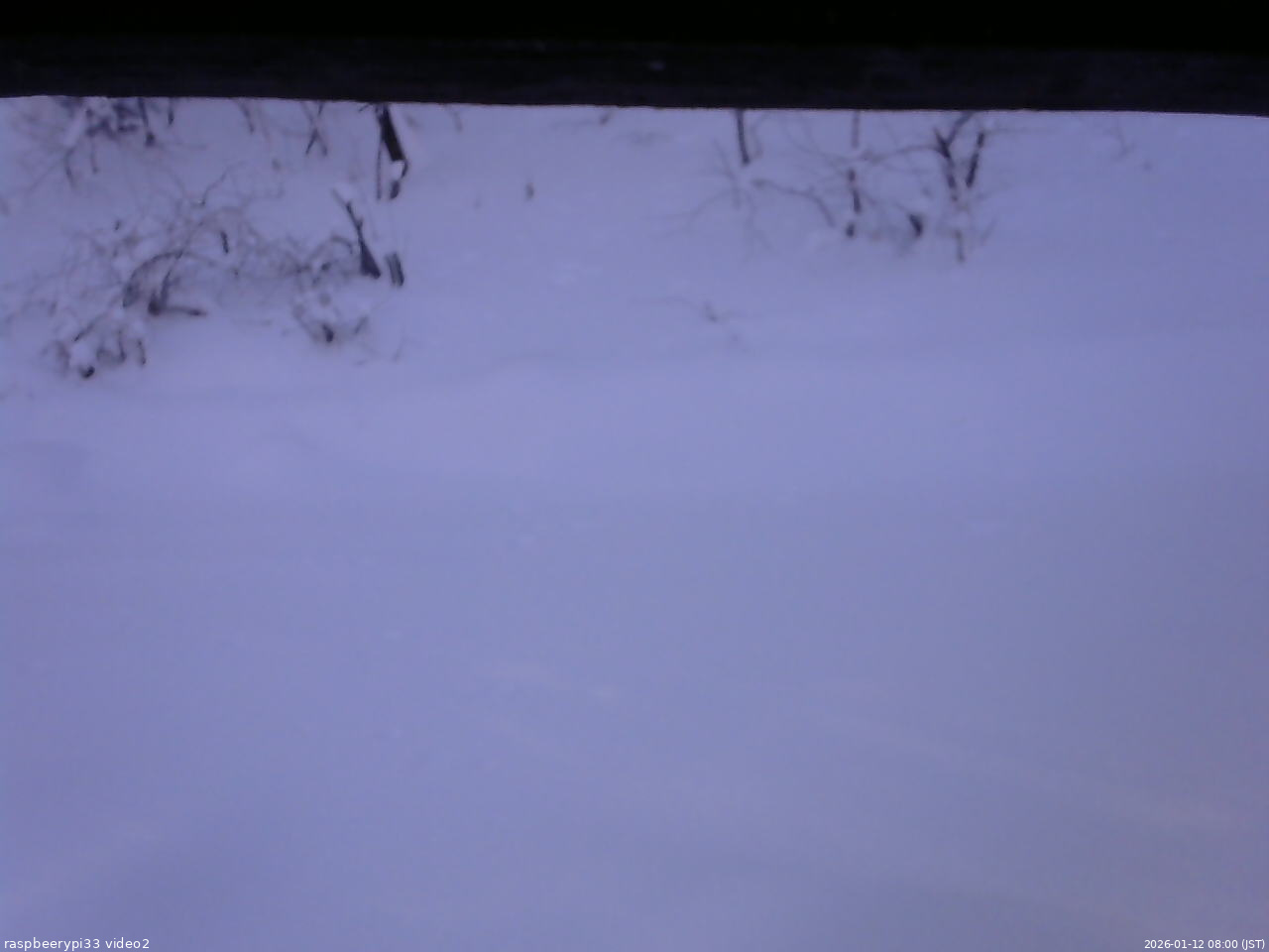 長野県菅平高原 ゆたか山荘 南側 2026/01/12 08:00