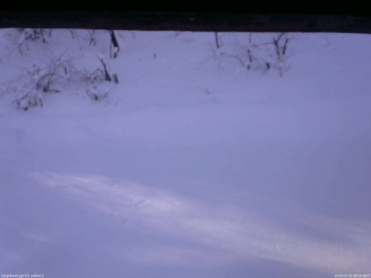 長野県菅平高原 ゆたか山荘 南側 2026/01/12 08:15