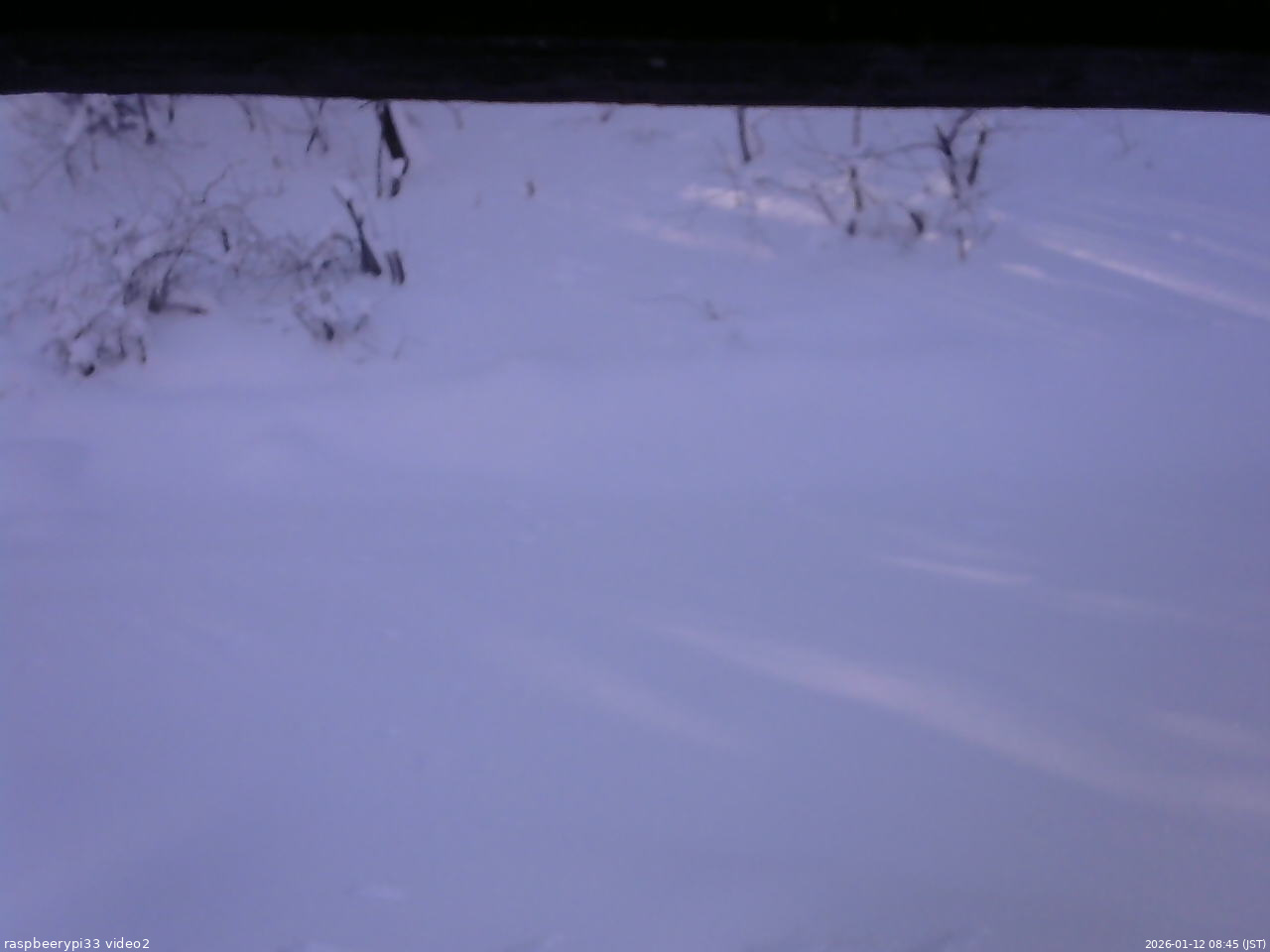 長野県菅平高原 ゆたか山荘 南側 2026/01/12 08:45