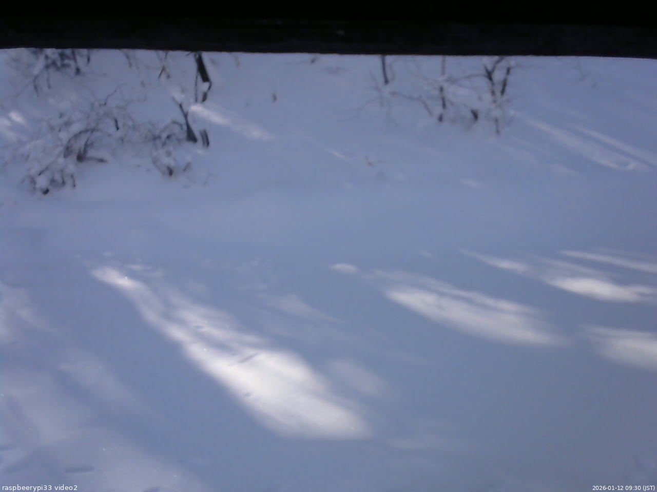 長野県菅平高原 ゆたか山荘 南側 2026/01/12 09:30