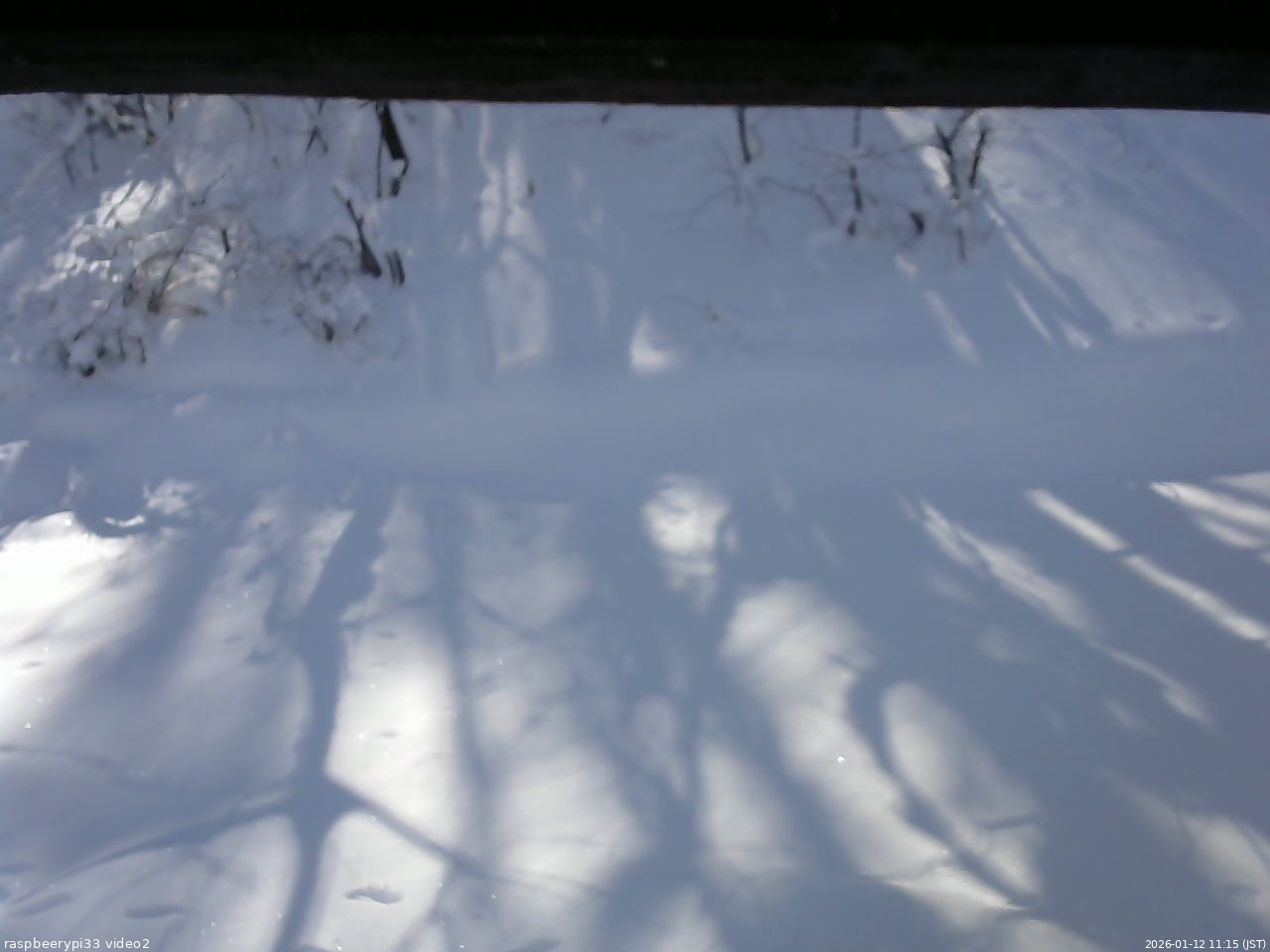 長野県菅平高原 ゆたか山荘 南側 2026/01/12 11:15